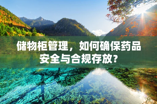 储物柜管理，如何确保药品安全与合规存放？