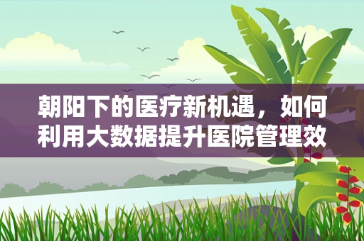 朝阳下的医疗新机遇，如何利用大数据提升医院管理效率？