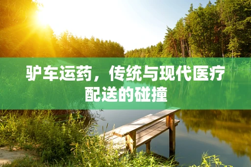 驴车运药，传统与现代医疗配送的碰撞