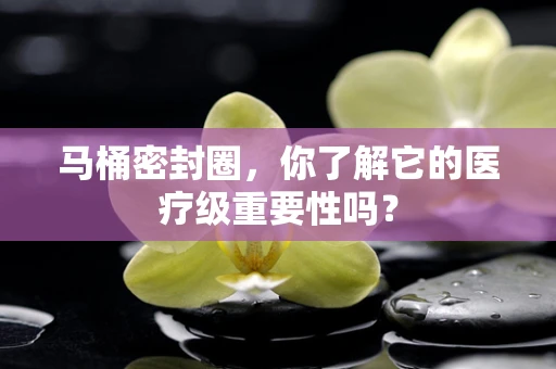 马桶密封圈，你了解它的医疗级重要性吗？