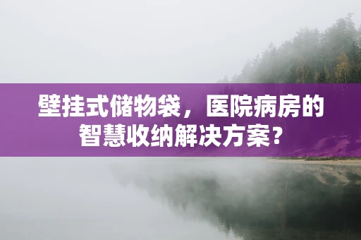 壁挂式储物袋，医院病房的智慧收纳解决方案？