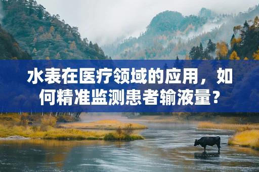 水表在医疗领域的应用，如何精准监测患者输液量？