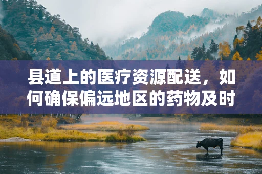 县道上的医疗资源配送，如何确保偏远地区的药物及时送达？