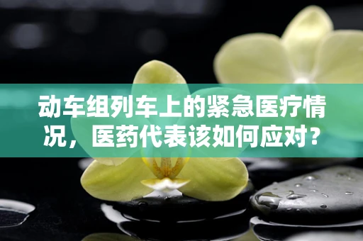 动车组列车上的紧急医疗情况，医药代表该如何应对？