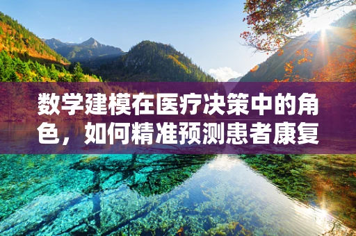 数学建模在医疗决策中的角色，如何精准预测患者康复路径？