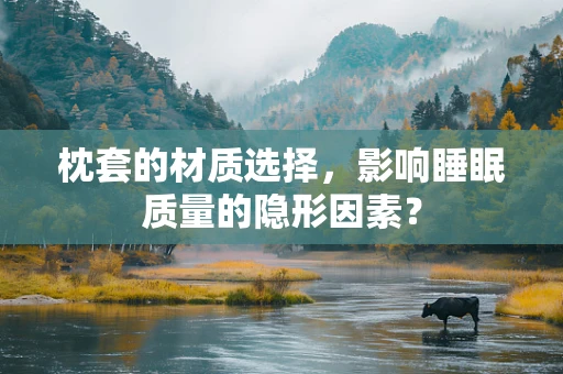 枕套的材质选择，影响睡眠质量的隐形因素？