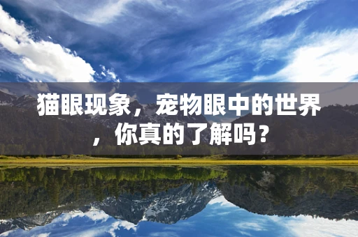 猫眼现象，宠物眼中的世界，你真的了解吗？