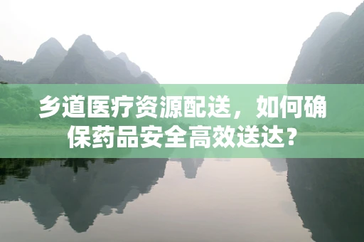 乡道医疗资源配送，如何确保药品安全高效送达？