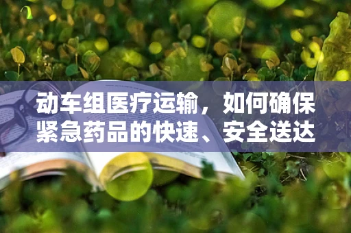 动车组医疗运输，如何确保紧急药品的快速、安全送达？