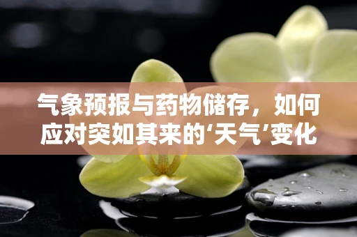 气象预报与药物储存，如何应对突如其来的‘天气’变化？