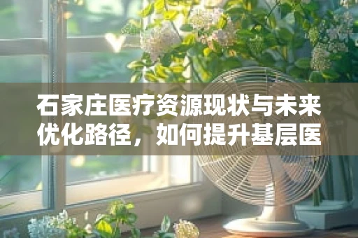 石家庄医疗资源现状与未来优化路径，如何提升基层医疗机构的药品可及性？