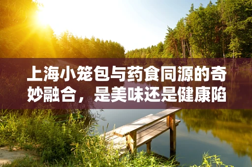 上海小笼包与药食同源的奇妙融合，是美味还是健康陷阱？