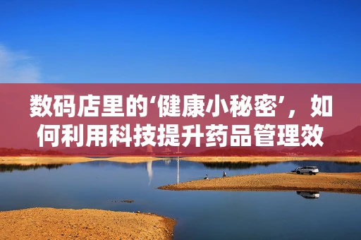 数码店里的‘健康小秘密’，如何利用科技提升药品管理效率？