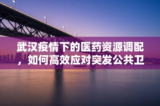 武汉疫情下的医药资源调配，如何高效应对突发公共卫生事件？