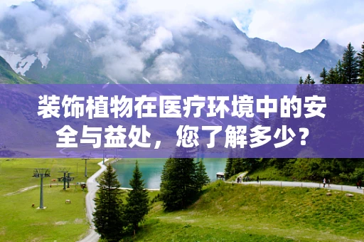 装饰植物在医疗环境中的安全与益处，您了解多少？