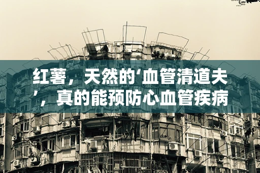 红薯，天然的‘血管清道夫’，真的能预防心血管疾病吗？