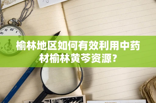 榆林地区如何有效利用中药材榆林黄芩资源？