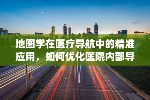 地图学在医疗导航中的精准应用，如何优化医院内部导航系统？