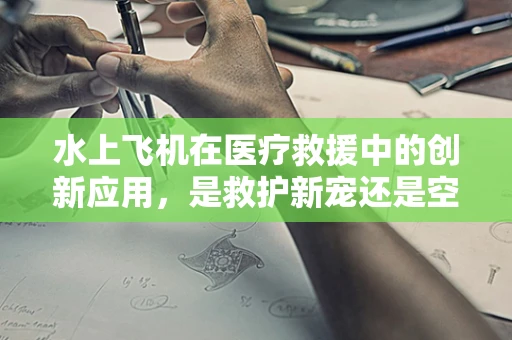 水上飞机在医疗救援中的创新应用，是救护新宠还是空中迷思？
