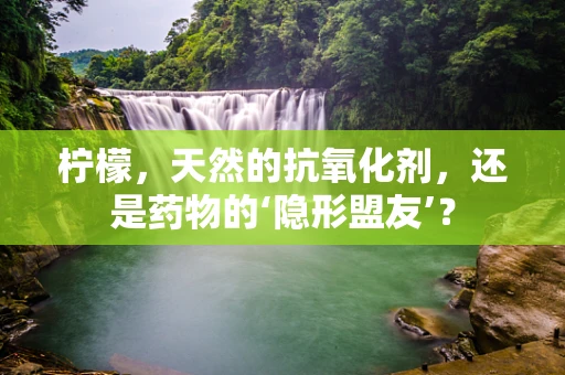 柠檬，天然的抗氧化剂，还是药物的‘隐形盟友’？