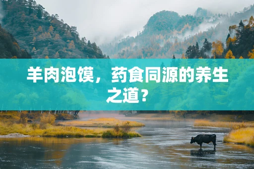 羊肉泡馍，药食同源的养生之道？