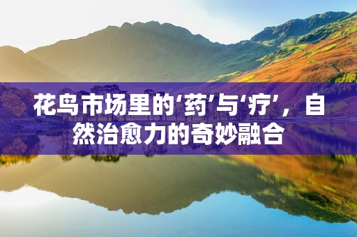 花鸟市场里的‘药’与‘疗’，自然治愈力的奇妙融合
