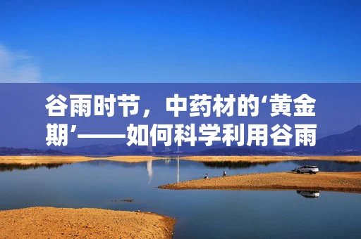 谷雨时节，中药材的‘黄金期’——如何科学利用谷雨时节提升药材品质？