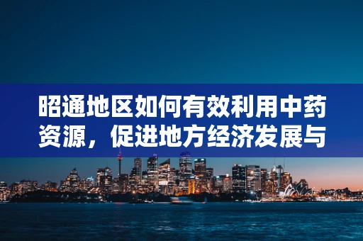 昭通地区如何有效利用中药资源，促进地方经济发展与健康？