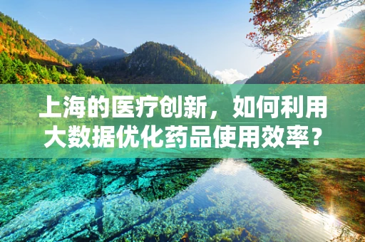 上海的医疗创新，如何利用大数据优化药品使用效率？