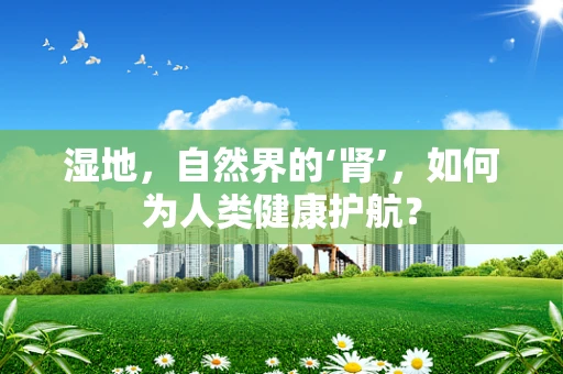 湿地，自然界的‘肾’，如何为人类健康护航？