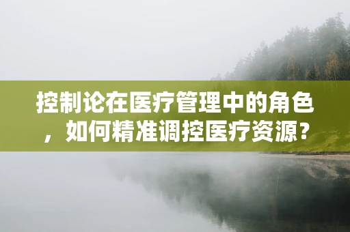控制论在医疗管理中的角色，如何精准调控医疗资源？