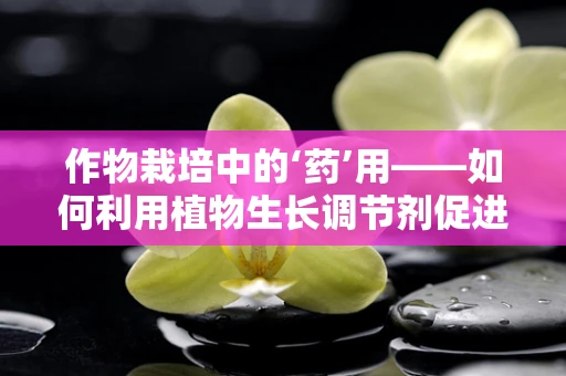 作物栽培中的‘药’用——如何利用植物生长调节剂促进健康生长？
