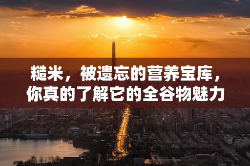 糙米，被遗忘的营养宝库，你真的了解它的全谷物魅力吗？