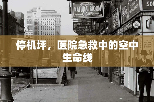 停机坪，医院急救中的空中生命线