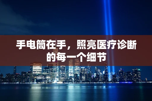 手电筒在手，照亮医疗诊断的每一个细节
