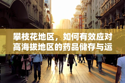 攀枝花地区，如何有效应对高海拔地区的药品储存与运输挑战？