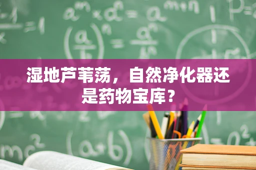 湿地芦苇荡，自然净化器还是药物宝库？