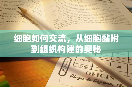 细胞如何交流，从细胞黏附到组织构建的奥秘