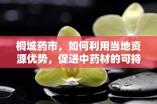 桐城药市，如何利用当地资源优势，促进中药材的可持续发展？