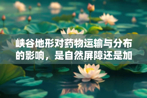 峡谷地形对药物运输与分布的影响，是自然屏障还是加速通道？
