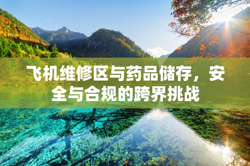 飞机维修区与药品储存，安全与合规的跨界挑战