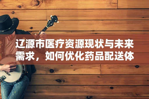 辽源市医疗资源现状与未来需求，如何优化药品配送体系？