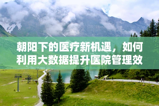 朝阳下的医疗新机遇，如何利用大数据提升医院管理效率？