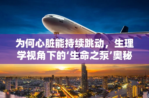 为何心脏能持续跳动，生理学视角下的‘生命之泵’奥秘？