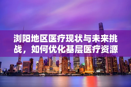浏阳地区医疗现状与未来挑战，如何优化基层医疗资源分配？