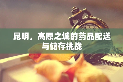 昆明，高原之城的药品配送与储存挑战