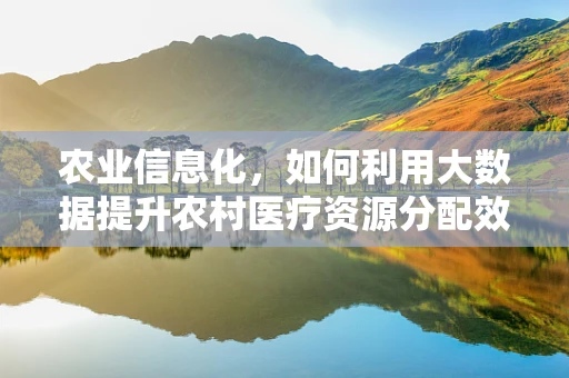 农业信息化，如何利用大数据提升农村医疗资源分配效率？