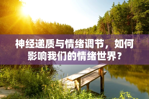 神经递质与情绪调节，如何影响我们的情绪世界？