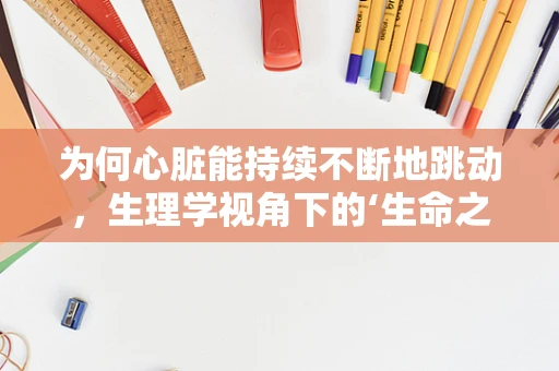 为何心脏能持续不断地跳动，生理学视角下的‘生命之泵’奥秘