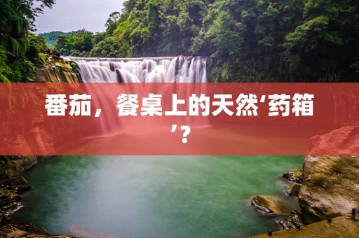 番茄，餐桌上的天然‘药箱’？